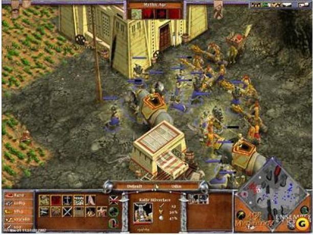 age of empires 2 protecting trebs